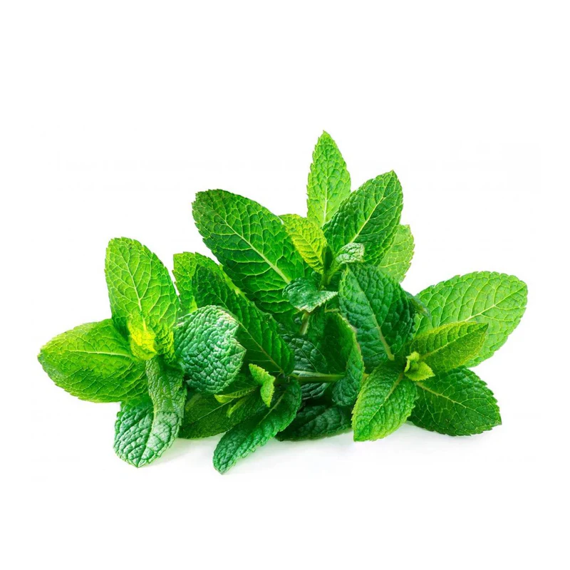 Mint Leaves - ફુદીનો