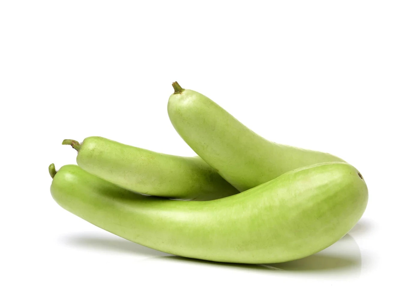 Bottle Gourd - દૂધી