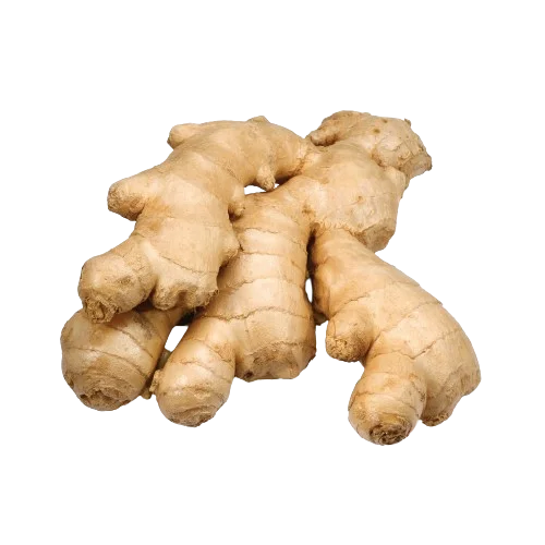 Ginger - આદુ