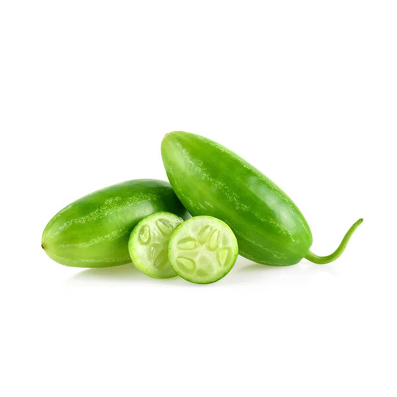Ivy Gourd - ટીંડોળા